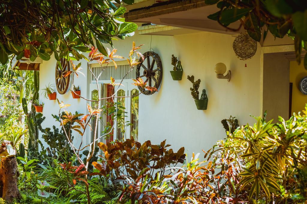 Shammie Guest House 希克杜沃 外观 照片
