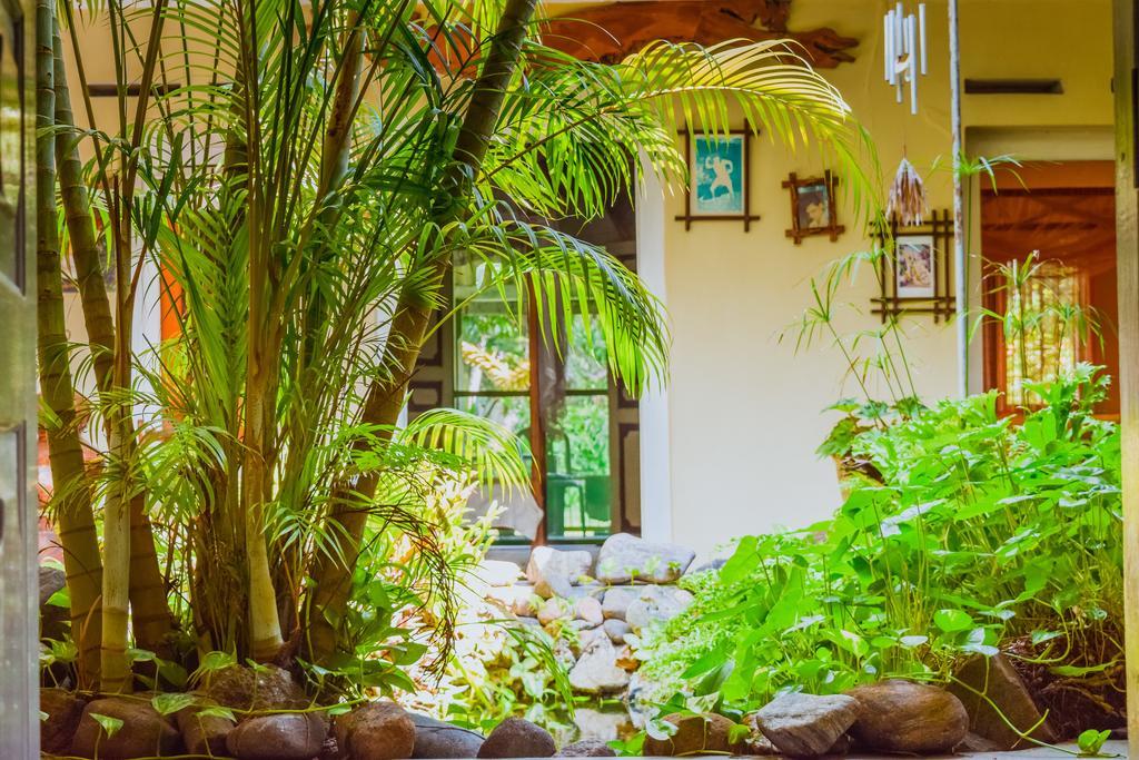 Shammie Guest House 希克杜沃 外观 照片