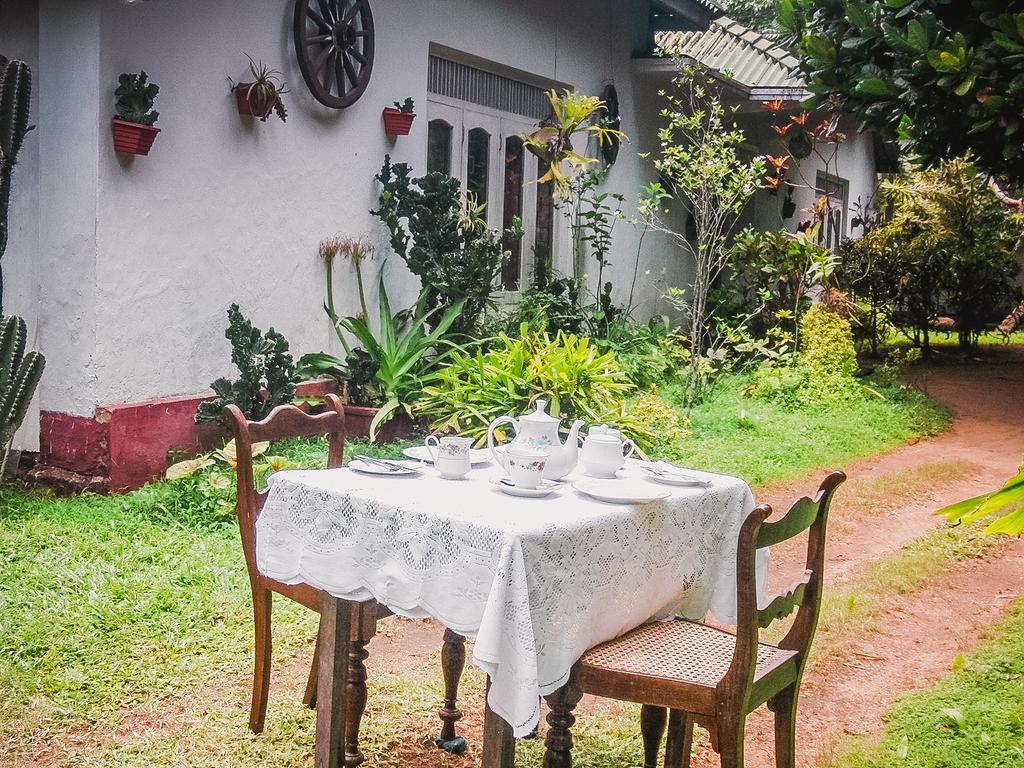 Shammie Guest House 希克杜沃 外观 照片